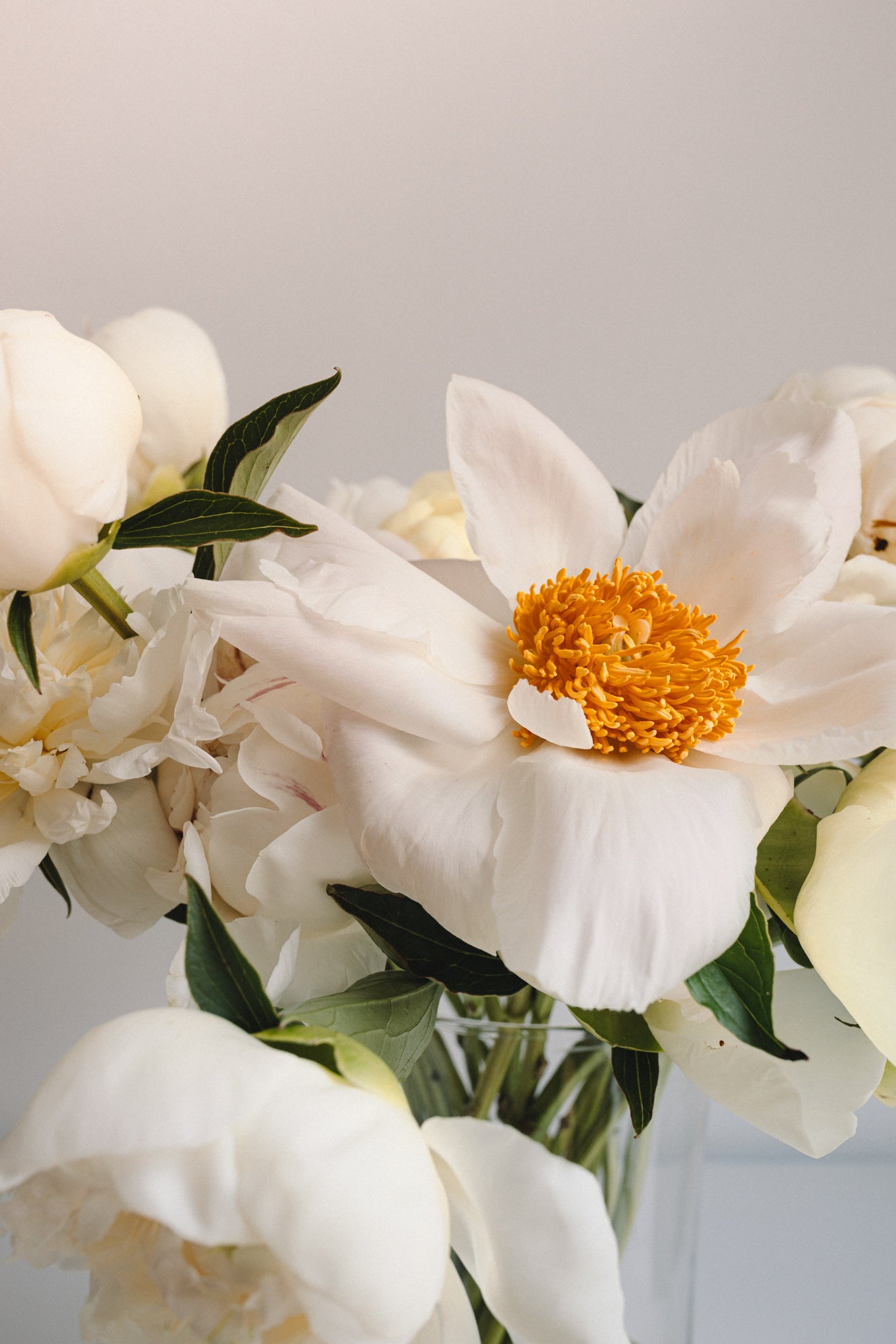 Bouquet de Moment