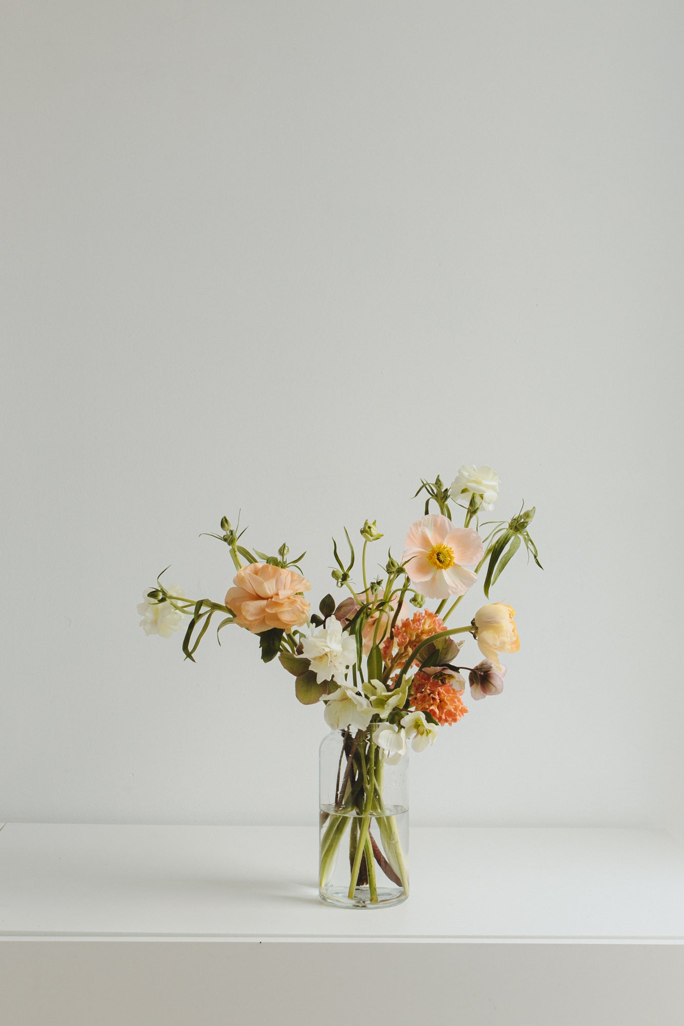 Seasonal Subscription (To Gift)