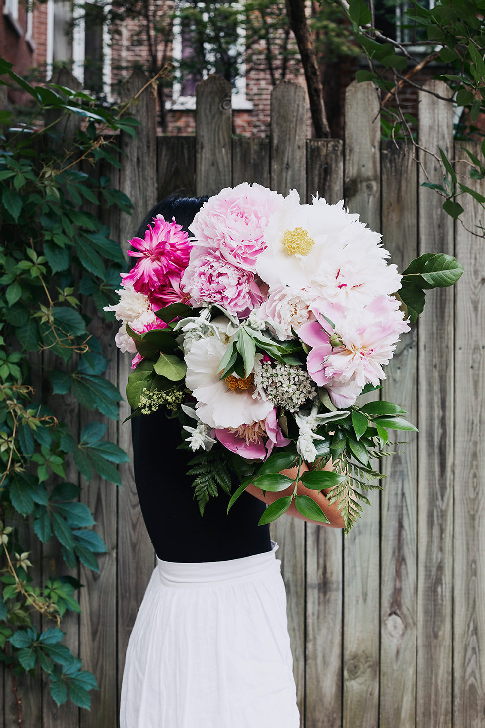 Peonies for June