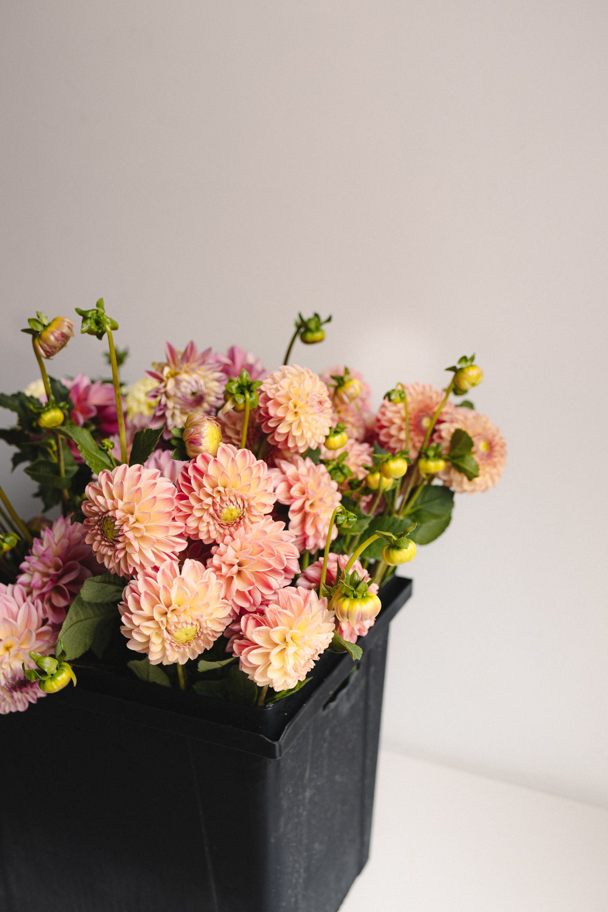 Ateliers de composition florales