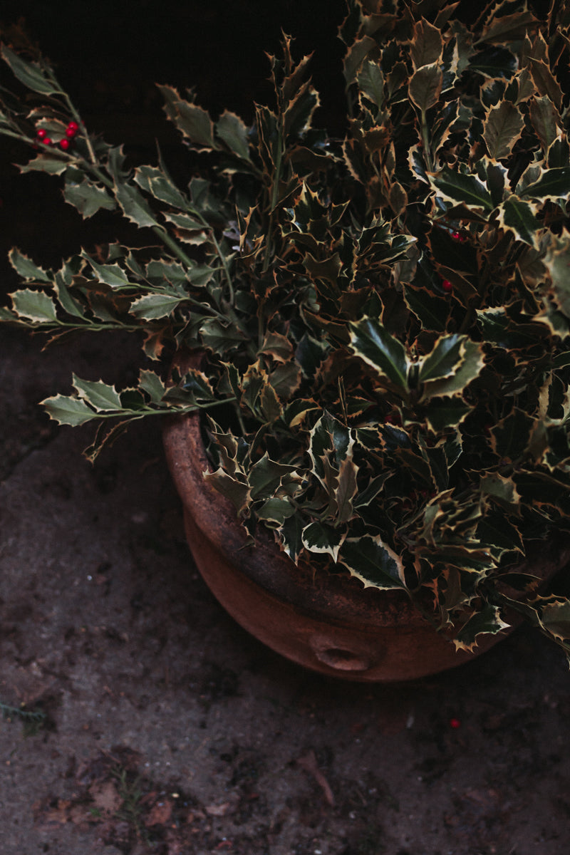 Handcrafted Winter Wreaths