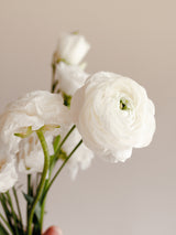 BOUQUET- TAILLE CÉLÉBRATION